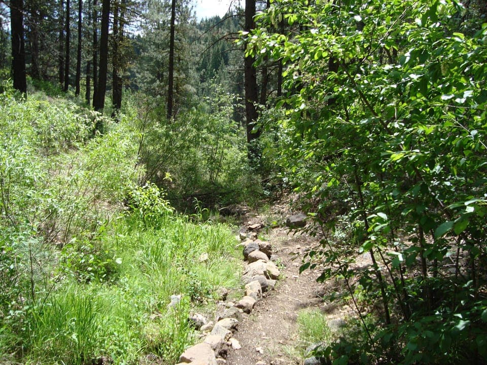 The private trail is just a 5 minute walk to the river