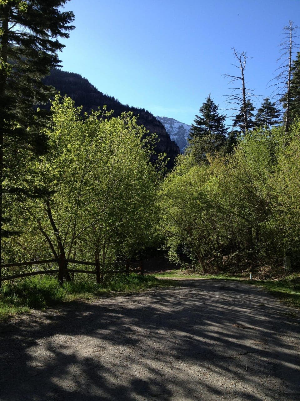 View down driveway