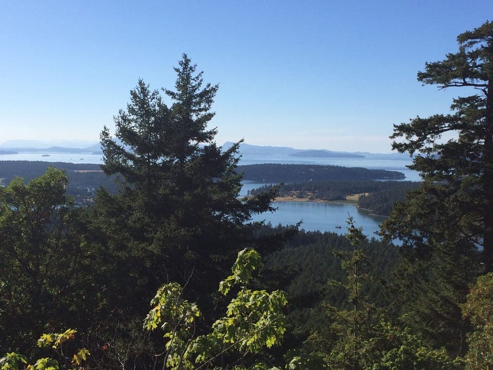 View north from Young Hill on SJI