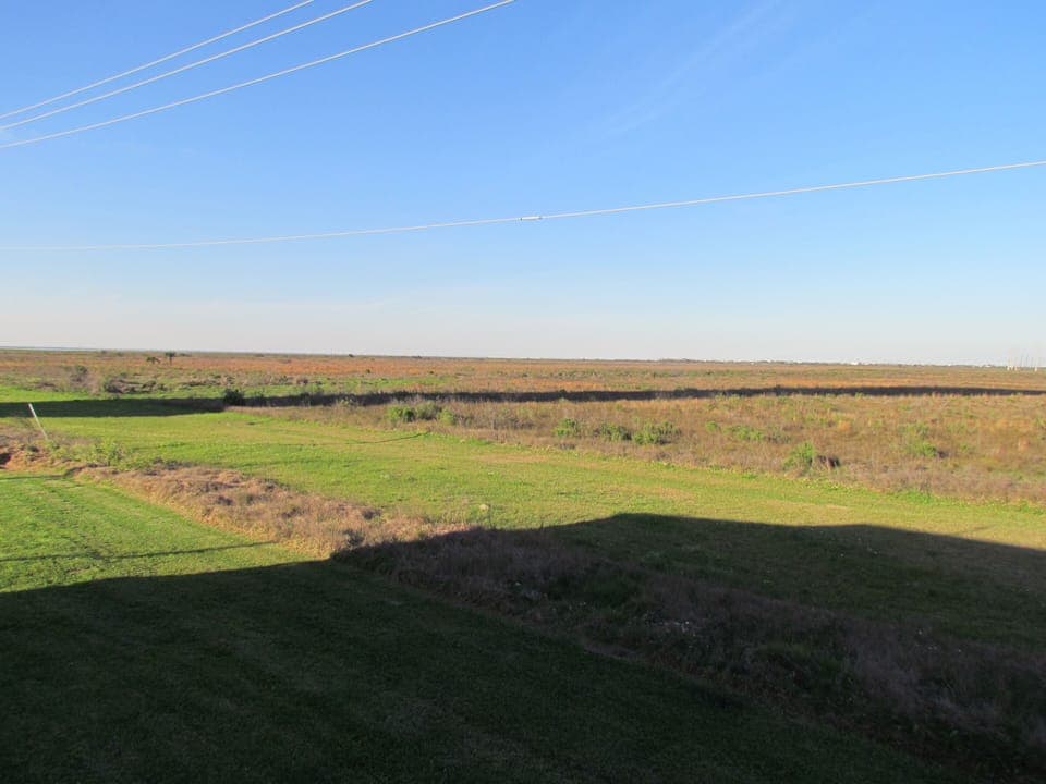 Looking over the State Park with Galveston Bay in the distance