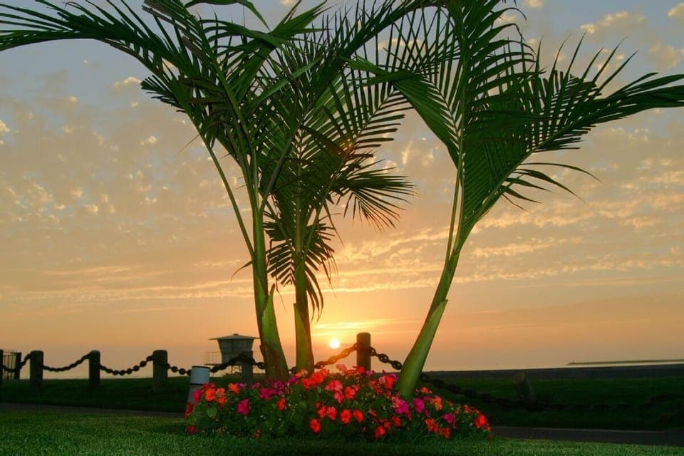 looking straight out from our patio at sunset