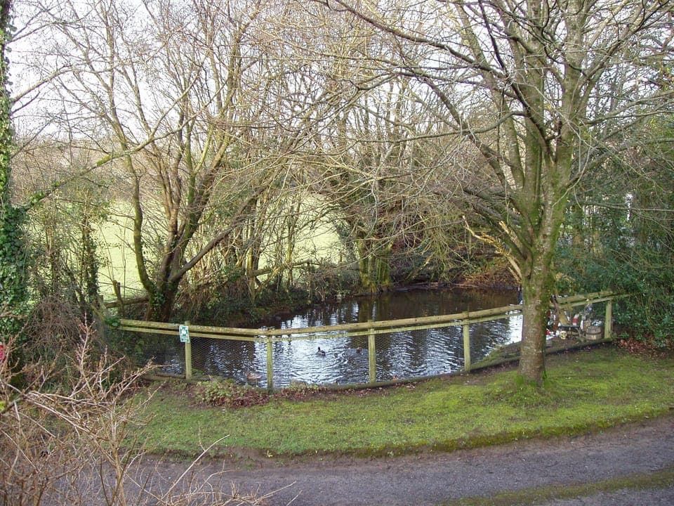 View of duck pond from Pinetree lodge