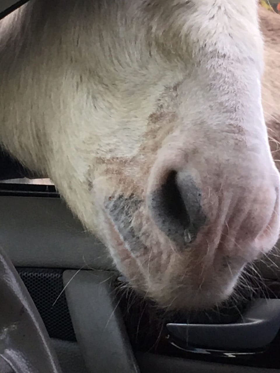 This one got very interested in what food might be on offer!