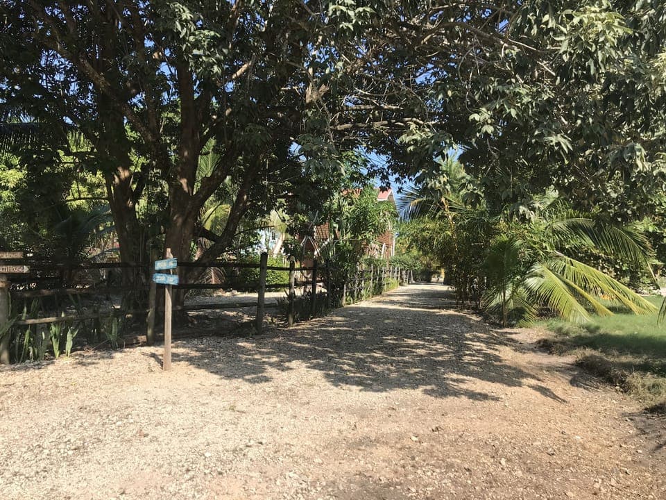 Our private road with parking.