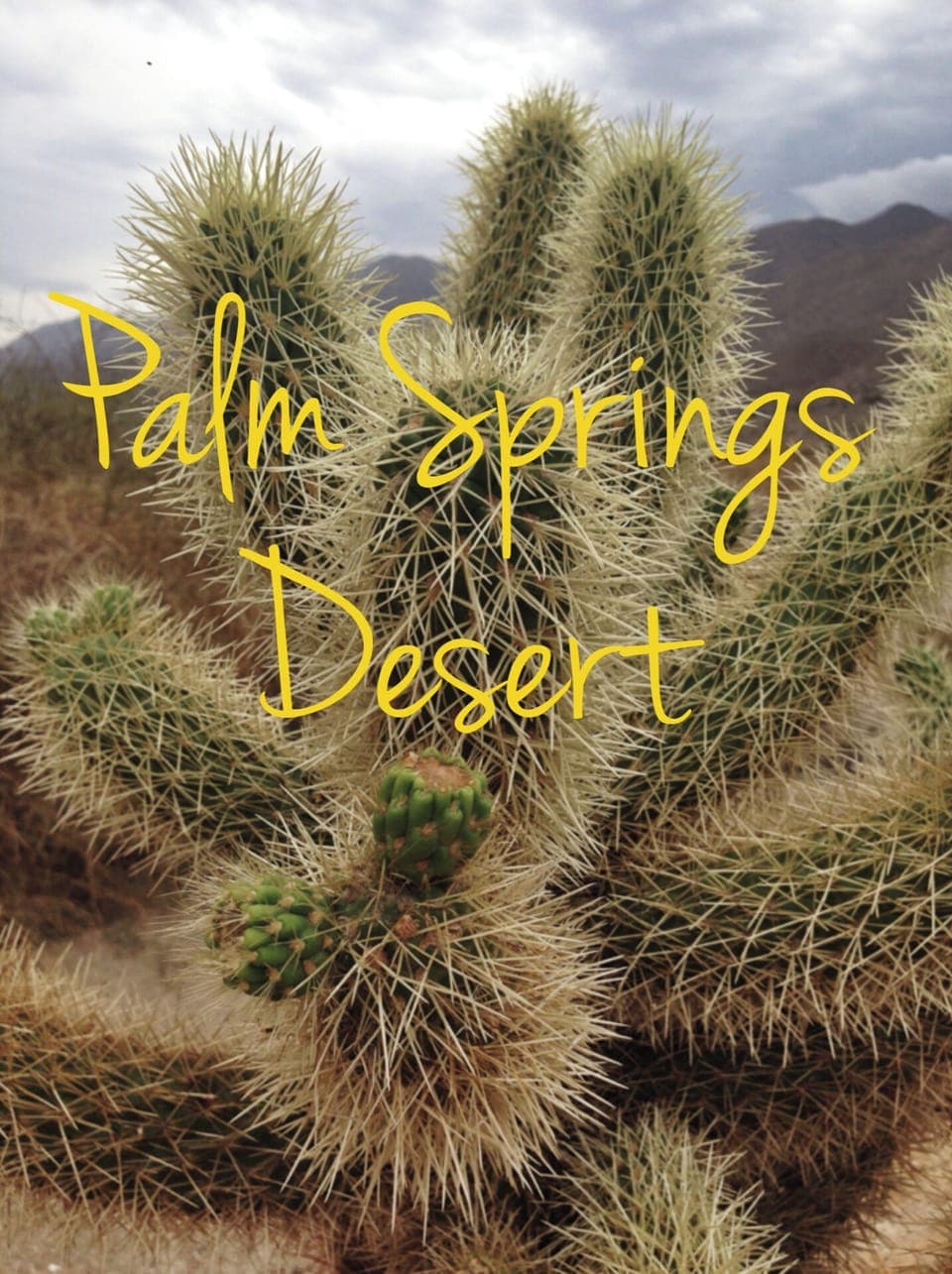 Palm Springs Desert