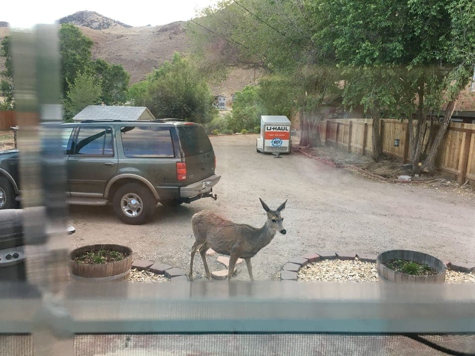 Property grounds