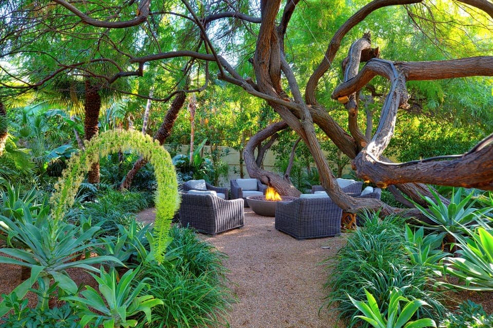 Magical Outdoor Firepit Is Sited Beneath A 90 Year Old Mesquite Canopy.