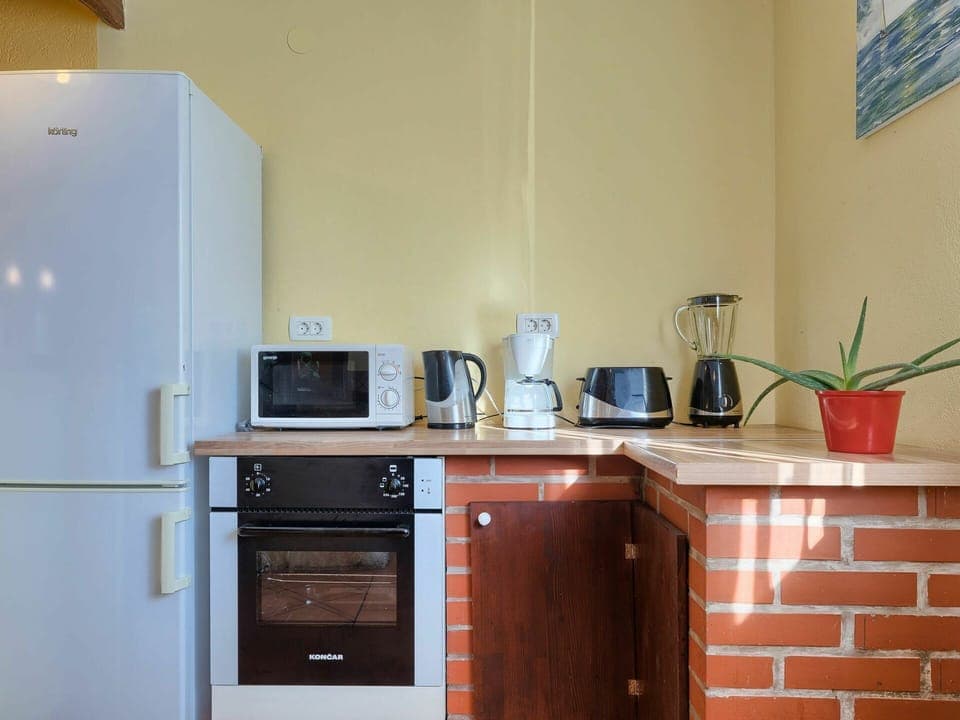 Cabinetry, Countertop, Building, Furniture, Kitchen Appliance, Kitchen, Flowerpot, Plant, Wood, Home Appliance