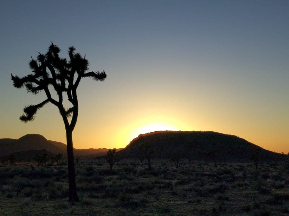 Wonderful sunsets in park.