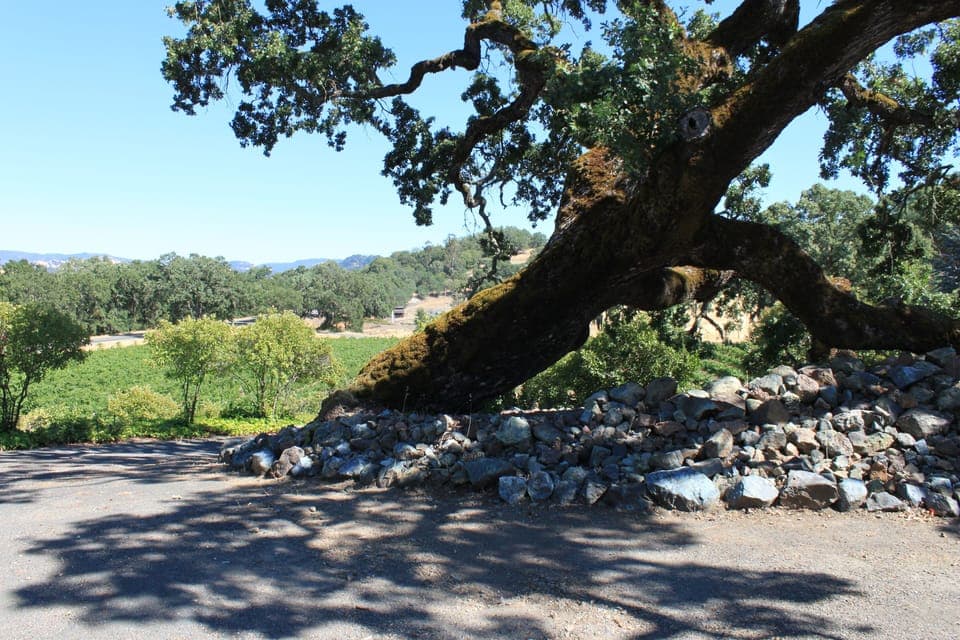 Top of drive way to home