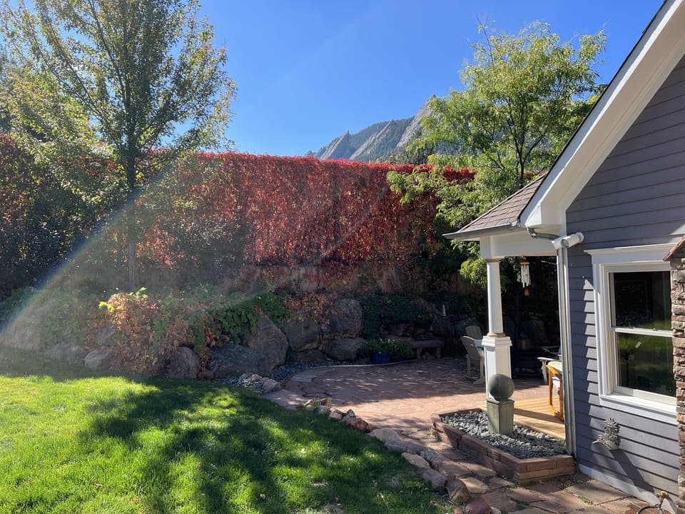 View from the backyard