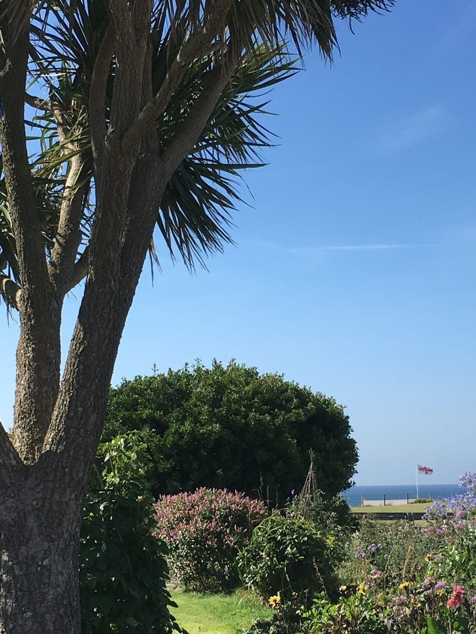 View of the sea from the garden