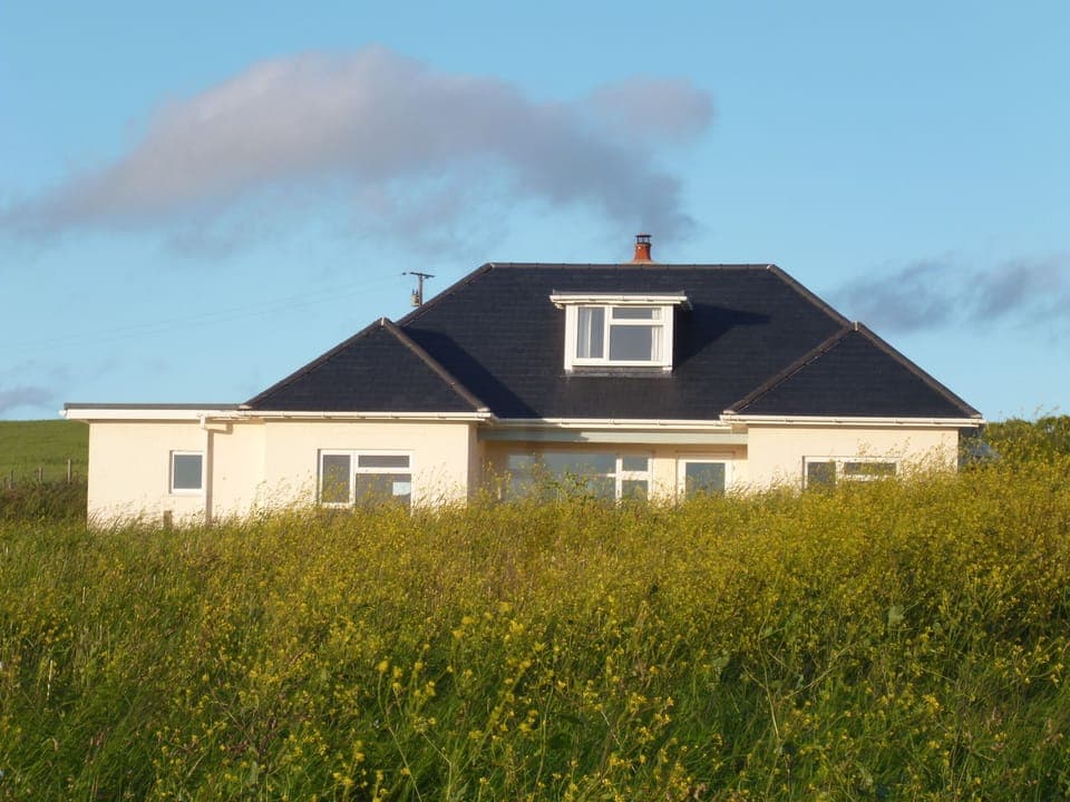 June at clover Cliff