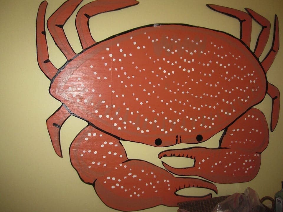 What's a beach without a crab!