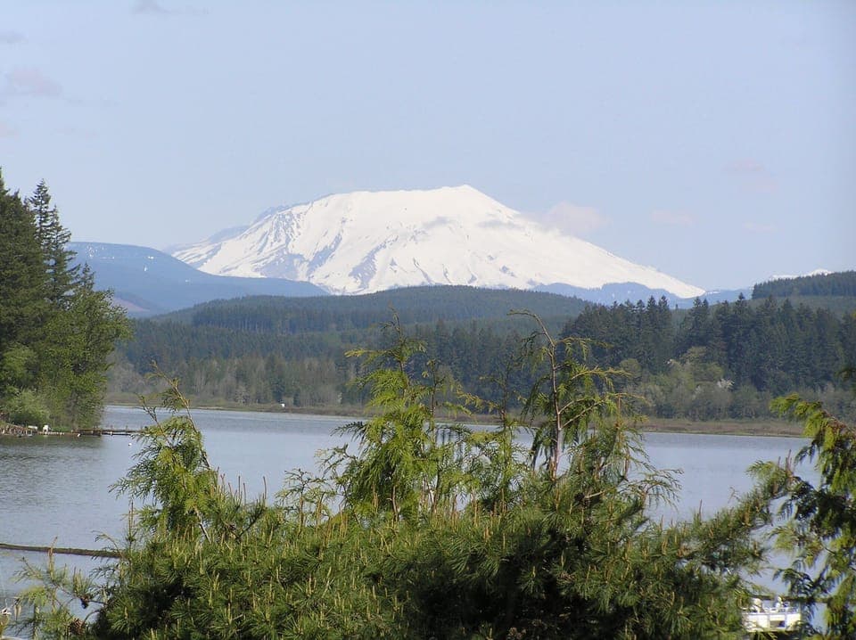 Picture of Mt. St. Helens 28 years after eruption, shore of Silverlake.