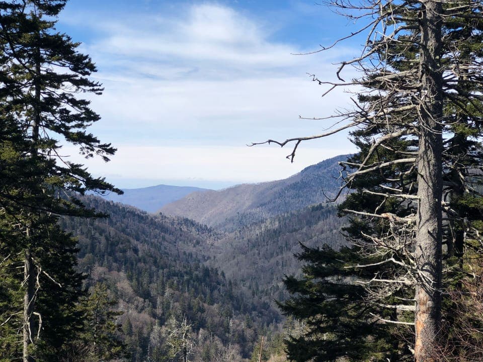AT hike at Newfound gap