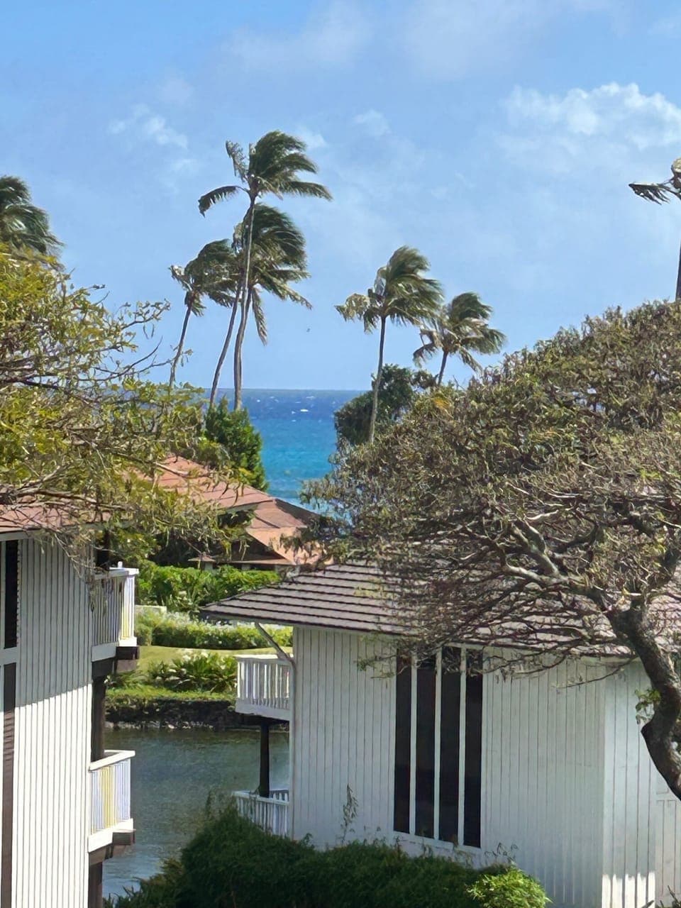 View from the Lanai!
