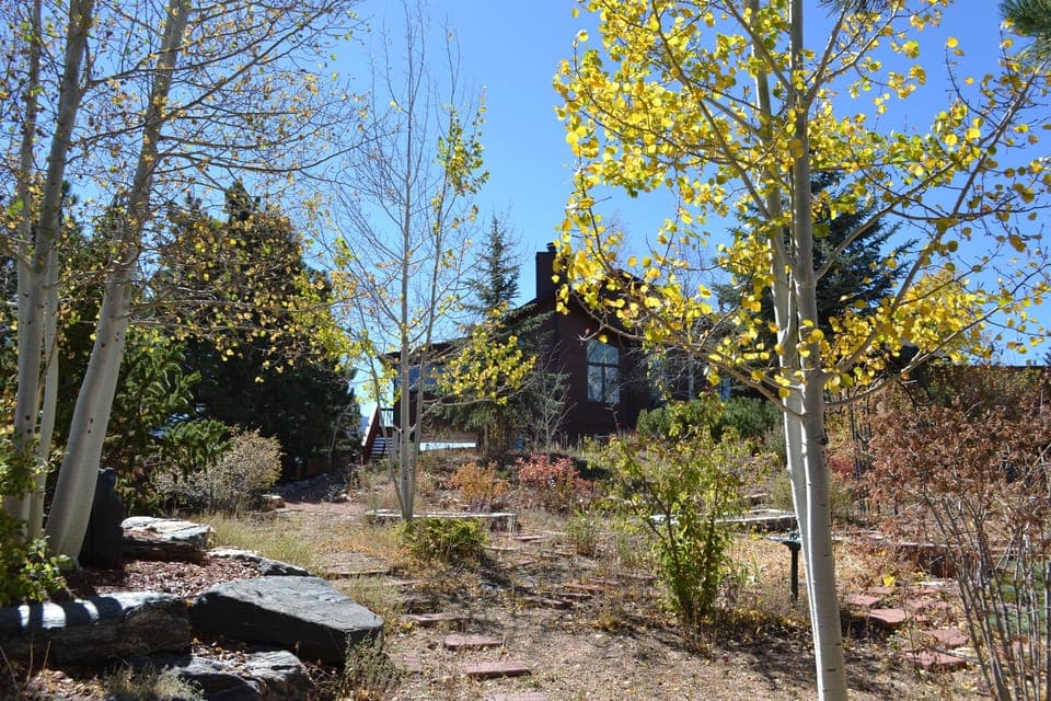 Aspen view - garden oasis