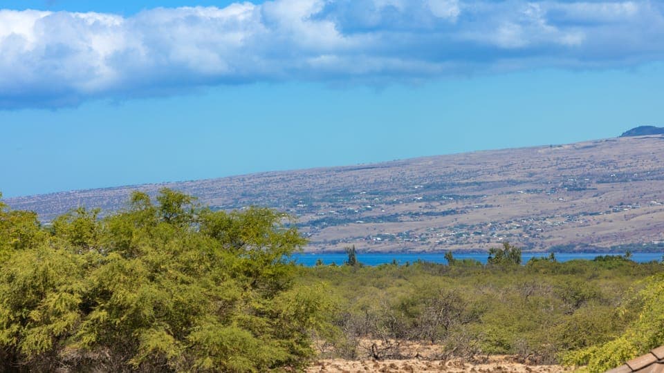 Ocean views in the distance from the lanai