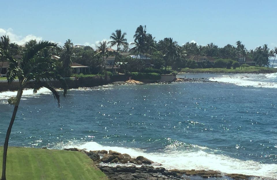 View from lanai: Swim and snorkle in beautiful cove adjacent to Kuhio Shores.