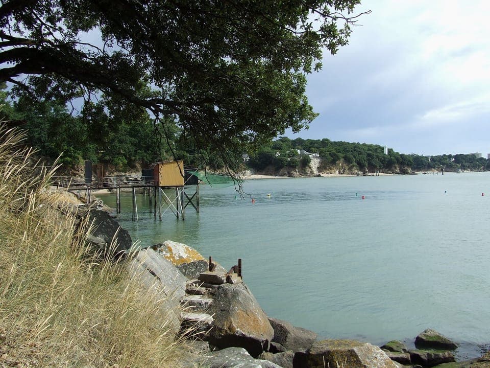 Trebizy Sins by the Customs Department