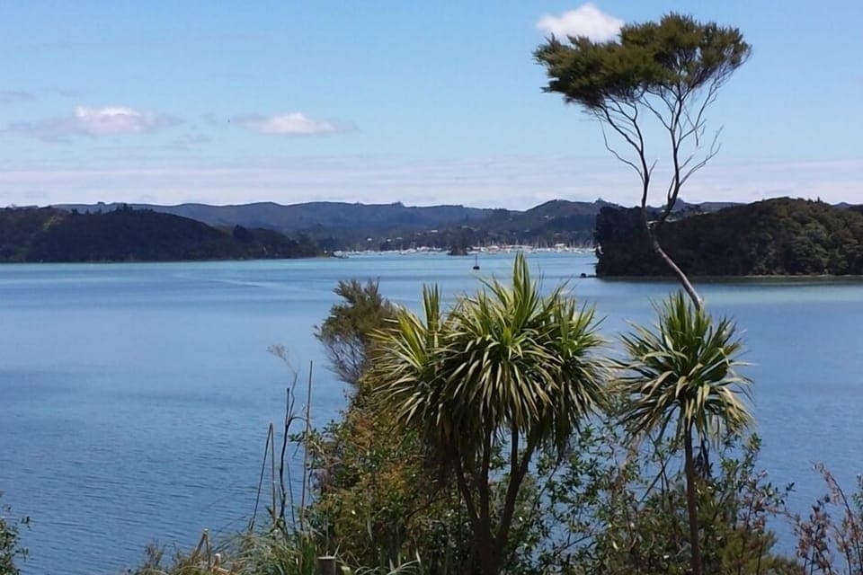 Gorgeous view over Opua harbour