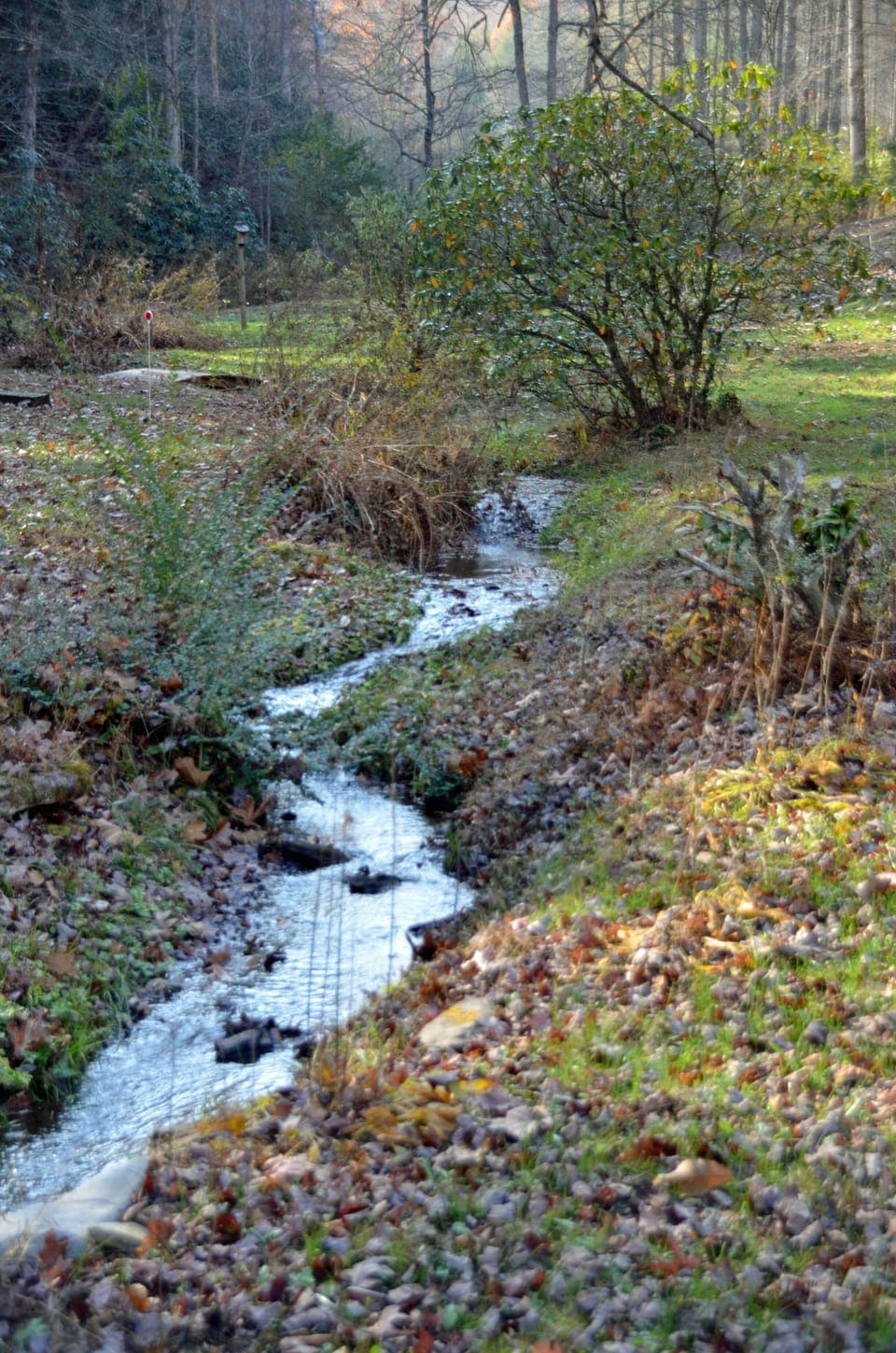 The peaceful creek that runs through the prooperty.
