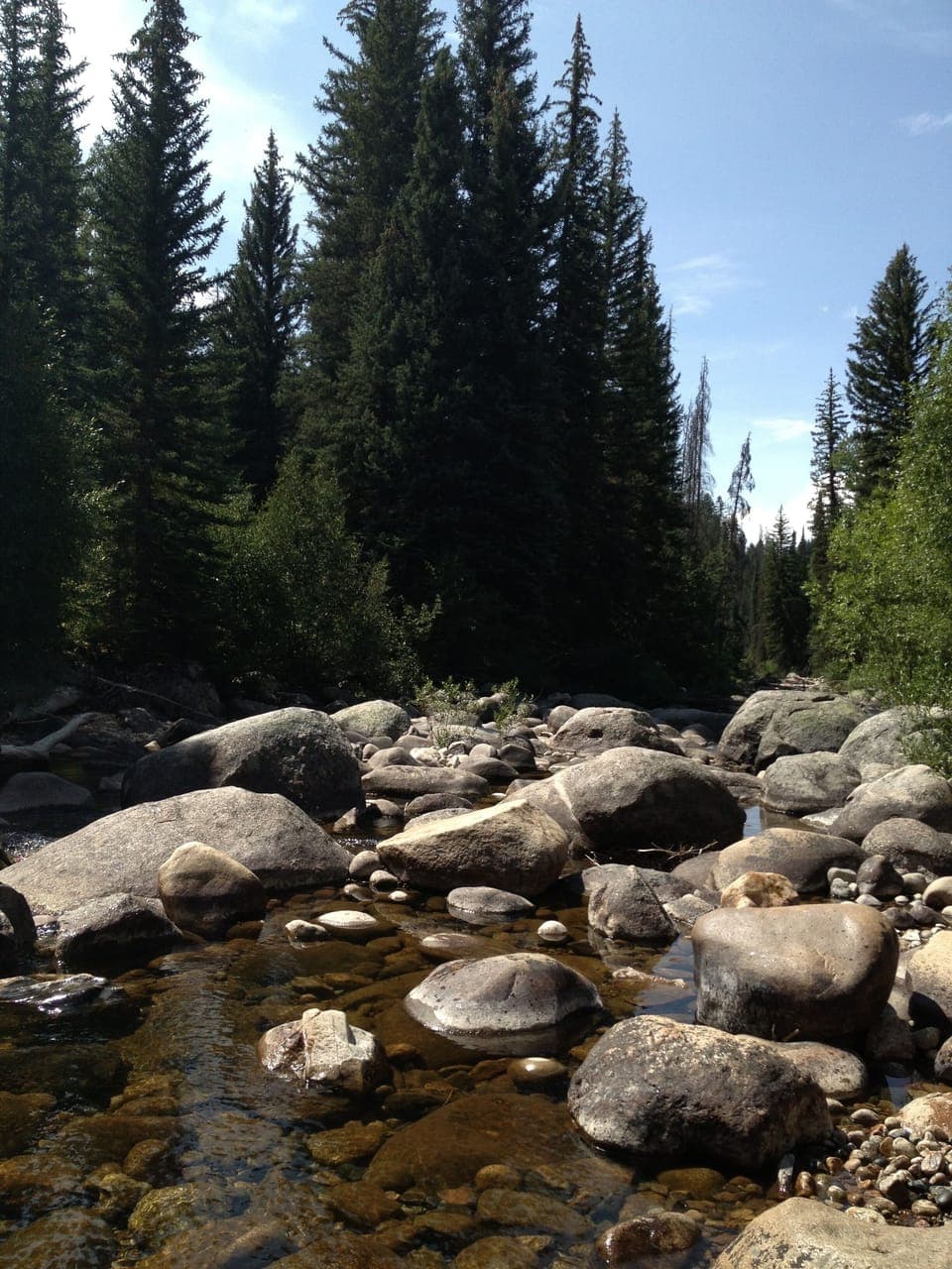One of the many beautiful streams in Routt County