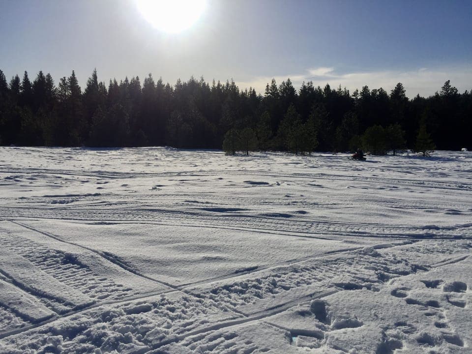 Some flat riding for the kiddos 