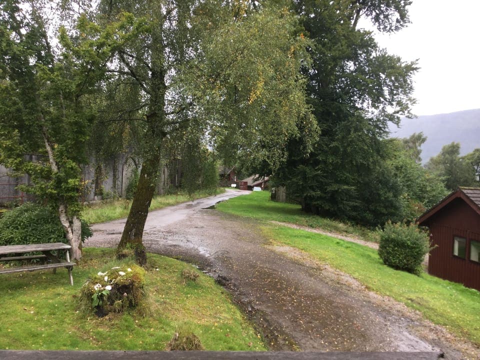 View from the Kitchen window