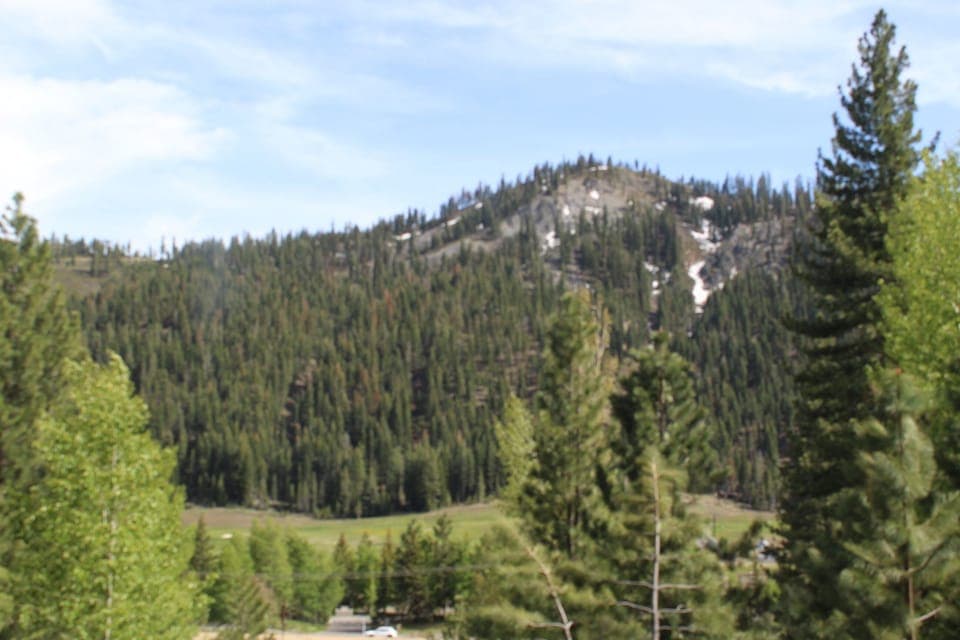 View from the Library