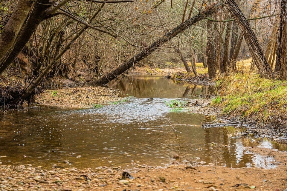 Barons Creek - where our kids LOVE catching tadpoles!