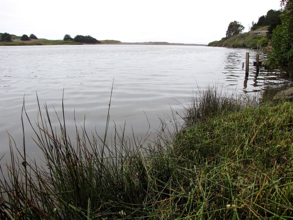 Goat Rock State beach is just a 10 minute paddle away!