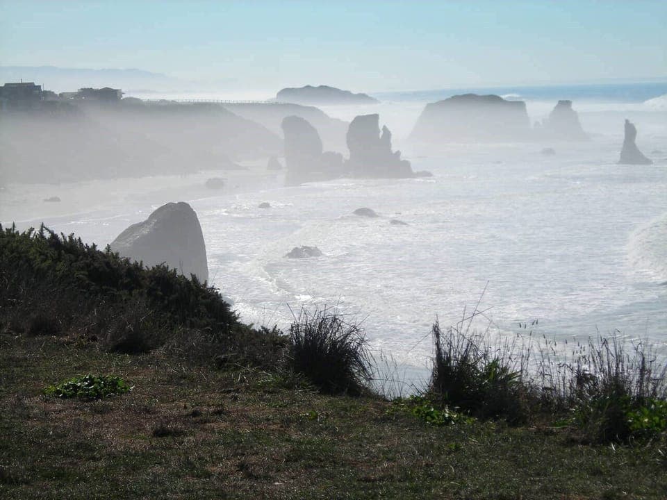 A misty morning walk