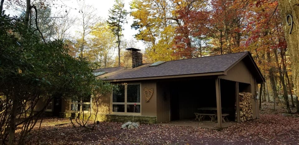 The home sits on a wooded lot with plenty of space for parking