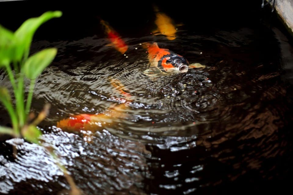 Great Offer! 4bed Villa Seminyak Prime