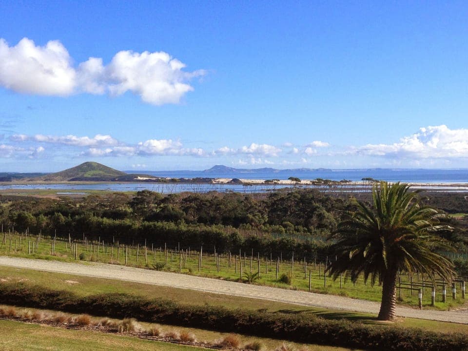 The Carrington Winery - fantastic panoramic views and good wine / food