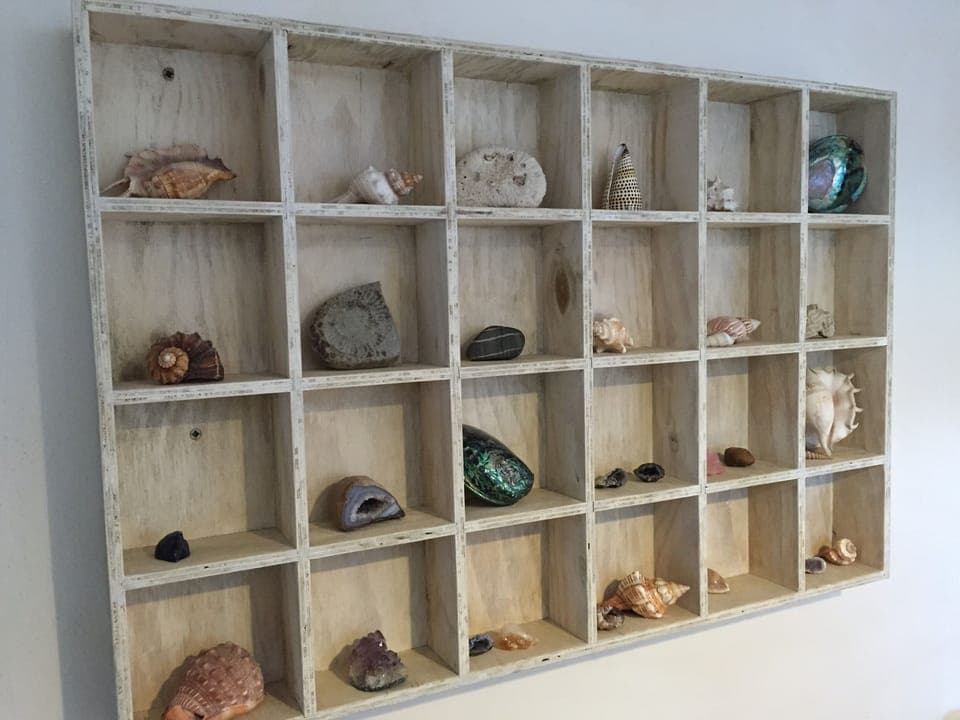 Shell collection in triple bedroom