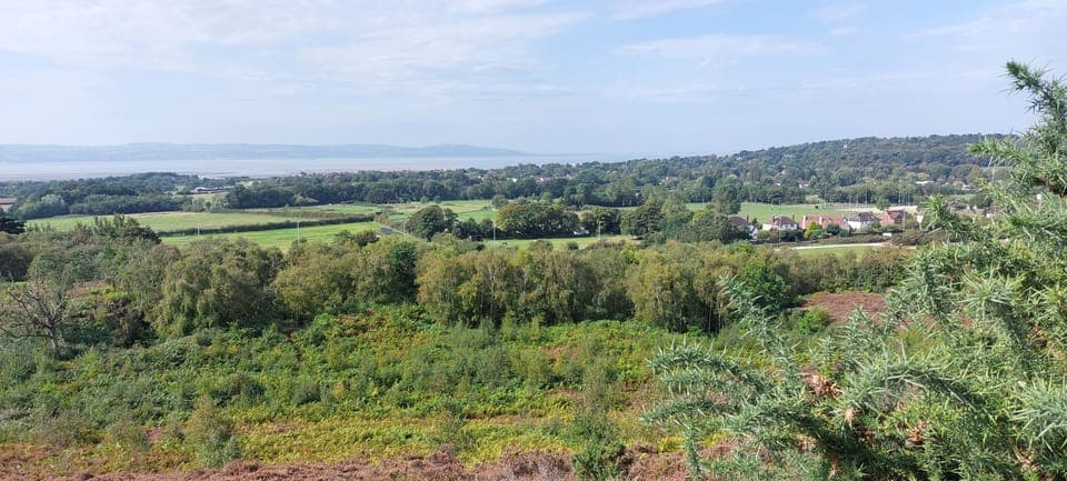  View from Thurstaston 