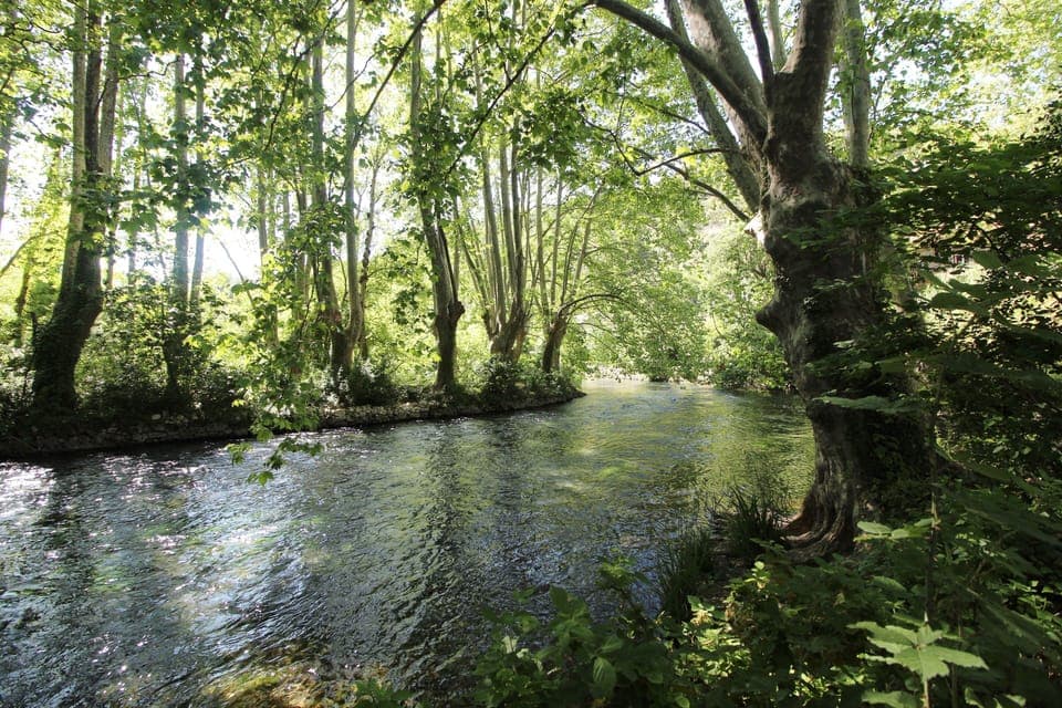 The river Sorgue