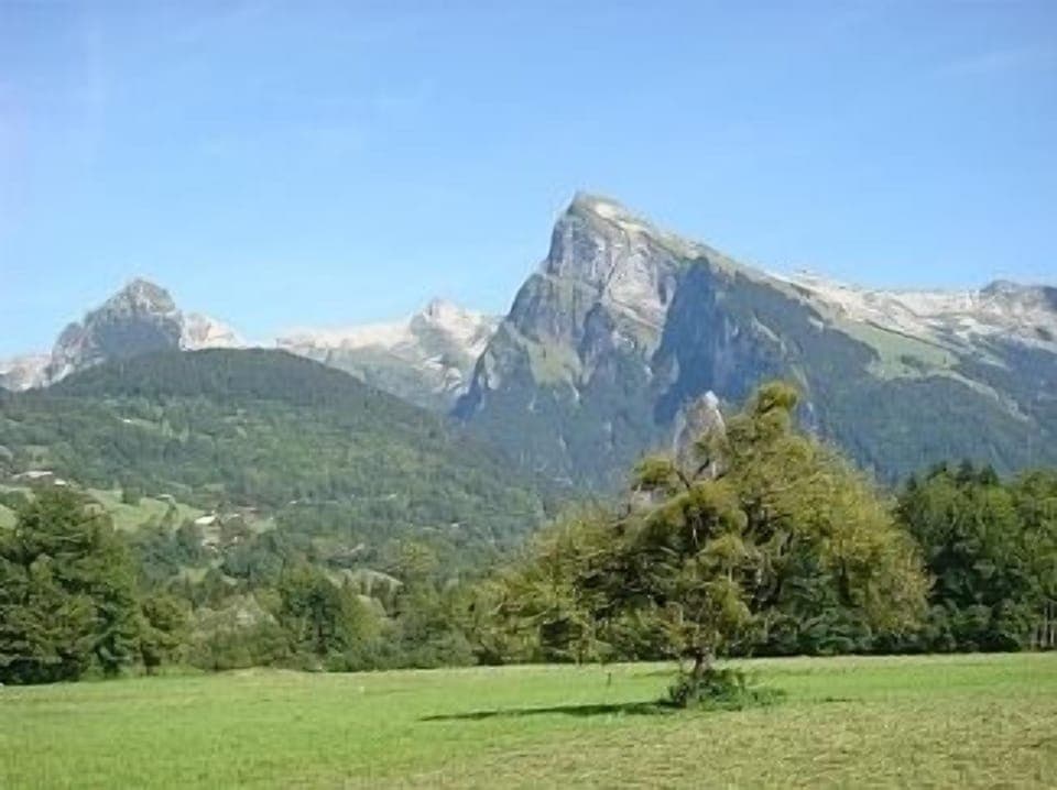 Summer time in the valley.