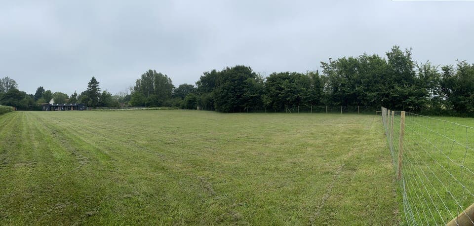 Lots of room for children and dogs to play safely 