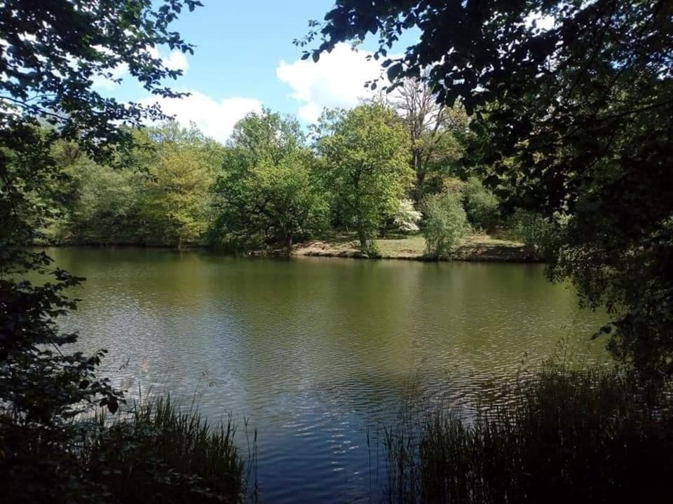Cannop ponds - a beautiful place to have a picnic