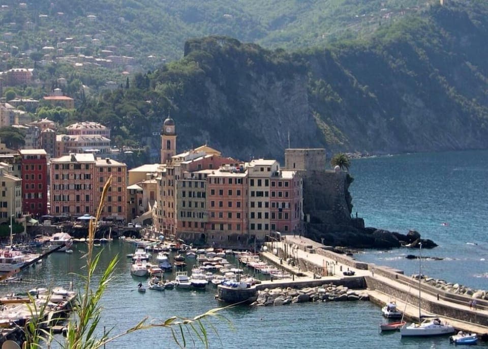 two windows in the green house under the church