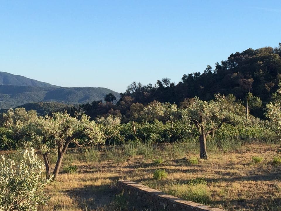 Looking out from the kitchen terrace.