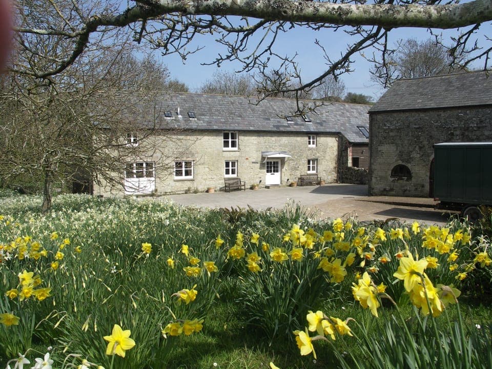 Dairy Barn in farmyard setting