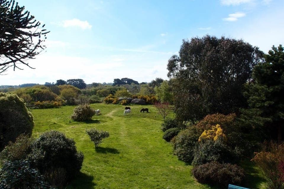 In the middle of nature close to the beaches