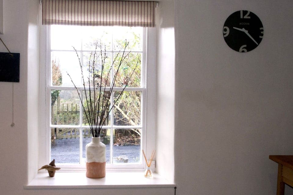 kitchen window where you can sit and watch the birds visiting the bird feeder