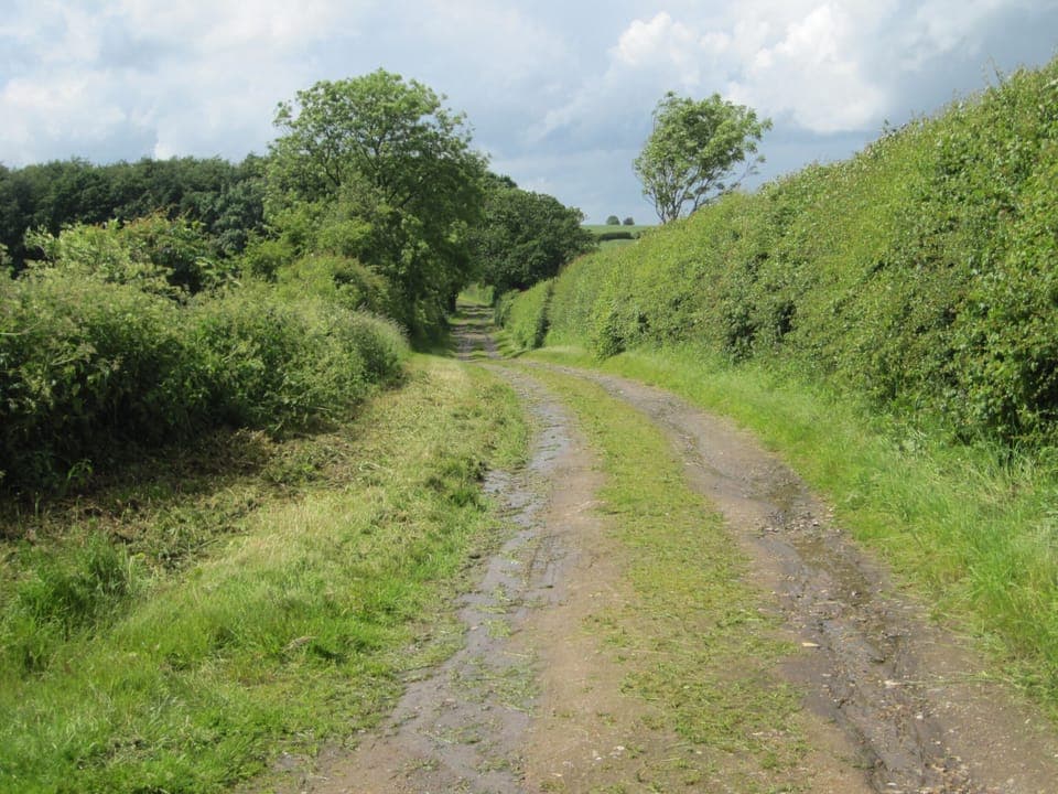 Track to Bayses Barn