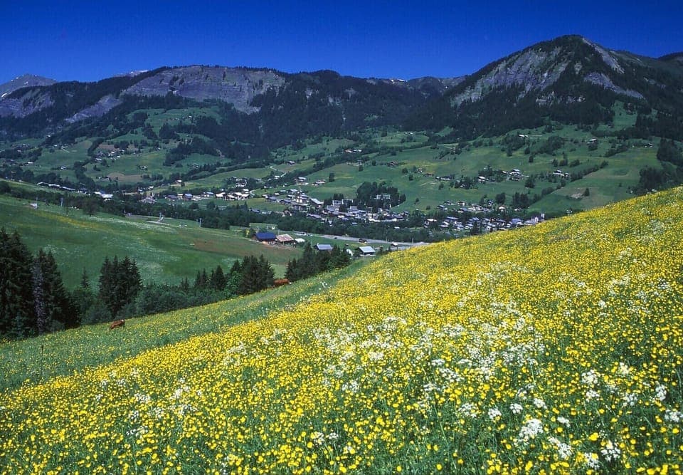 Praz sur Arly in summer